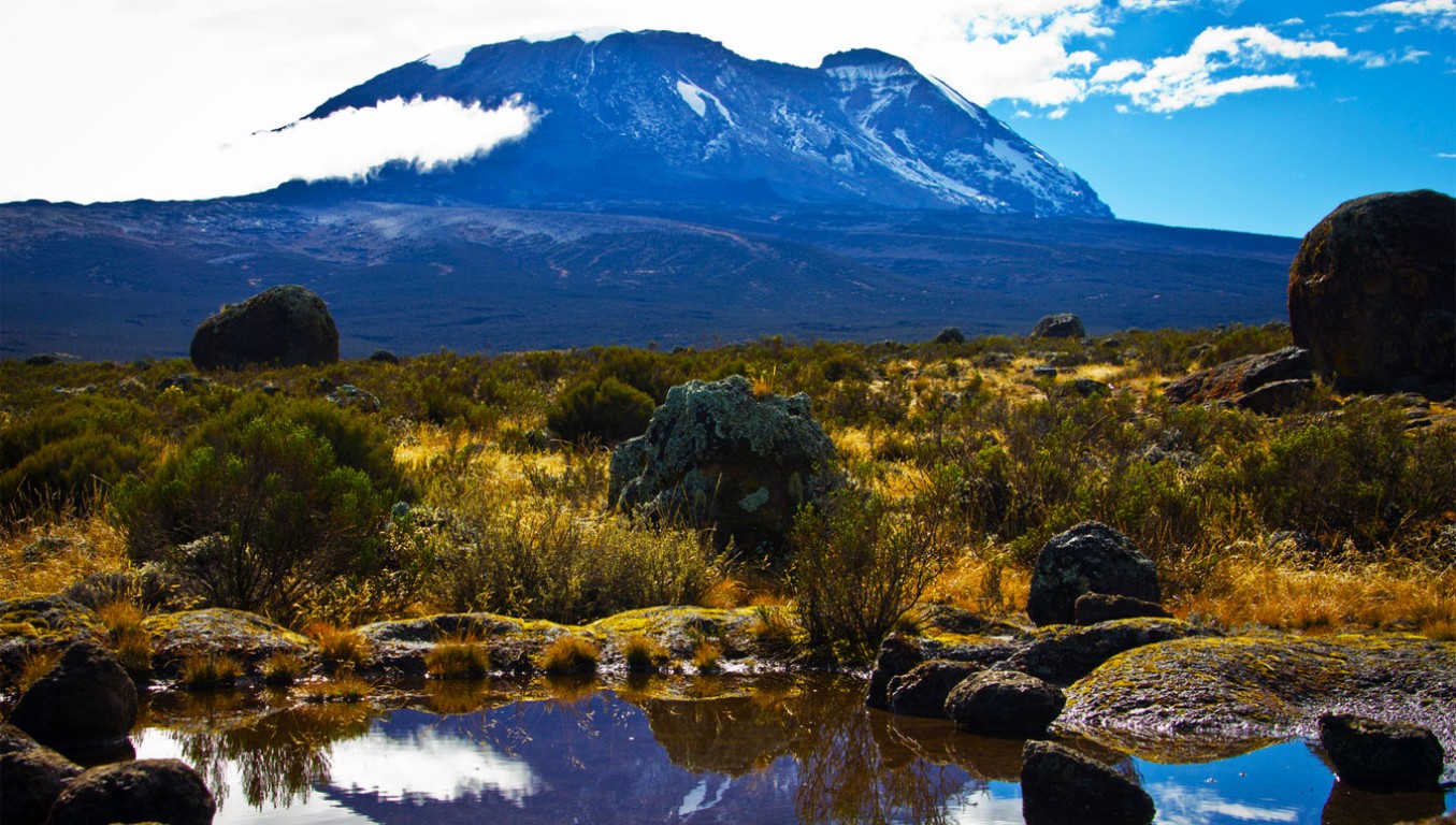 Climb Mt. Kilimanjaro Via Marangu Route 5 Days + 2 Nights Hotel in Mosh